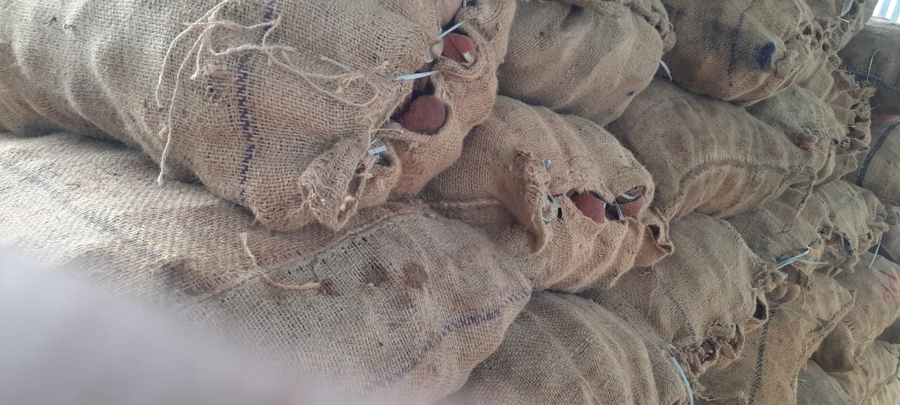 WhatsApp Image 2025-08-13 at 14.05.49_97f40bb4