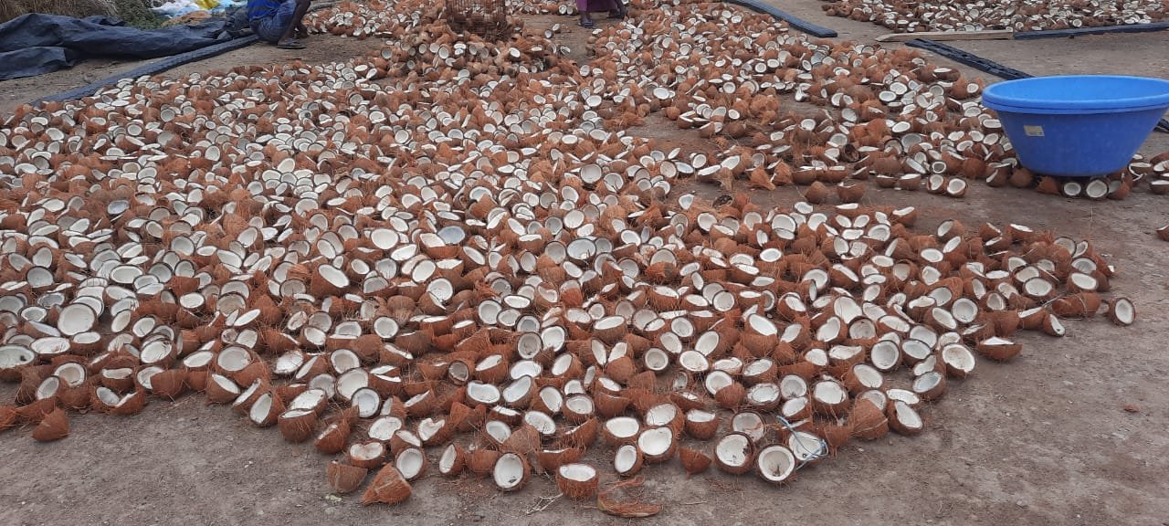 WhatsApp Image 2025-08-13 at 14.05.57_fa8057cc