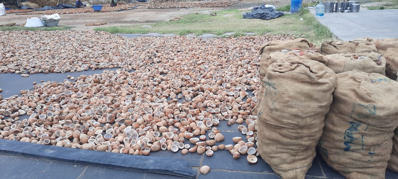 WhatsApp Image 2025-08-13 at 14.06.01_ff2f0c9c